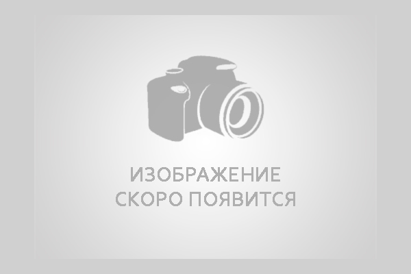 no-image
